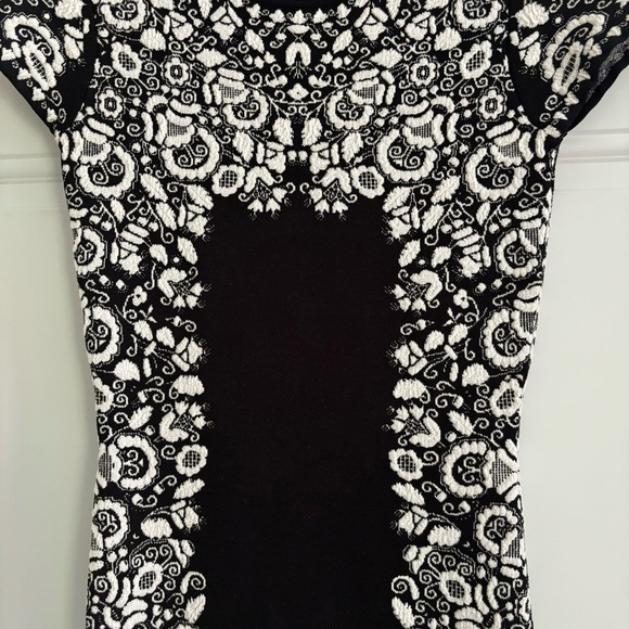 BCBG MaxAzria Fabiana Jackquard Dress, Size Small - Picture 6 of 10
